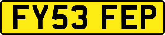 FY53FEP
