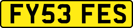 FY53FES