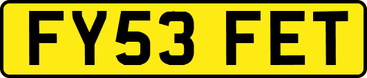 FY53FET