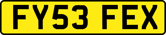 FY53FEX