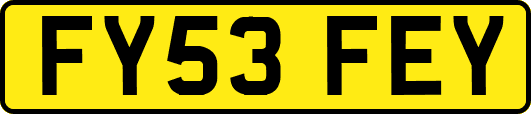 FY53FEY