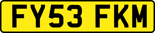 FY53FKM