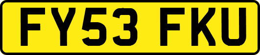 FY53FKU