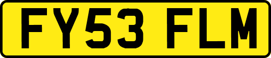 FY53FLM