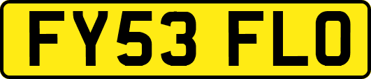 FY53FLO