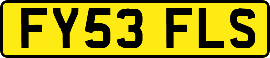 FY53FLS