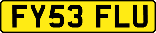 FY53FLU