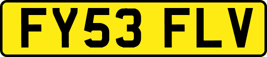 FY53FLV