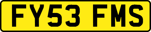 FY53FMS