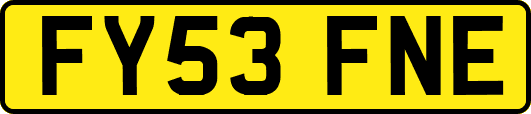 FY53FNE