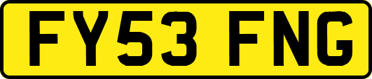 FY53FNG
