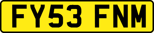 FY53FNM