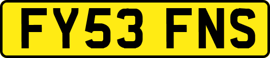 FY53FNS