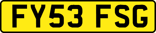 FY53FSG
