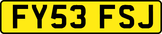 FY53FSJ
