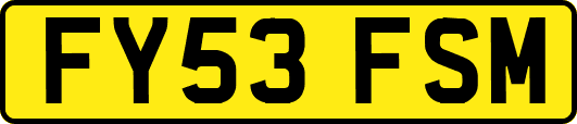 FY53FSM