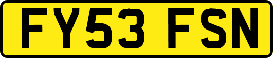 FY53FSN