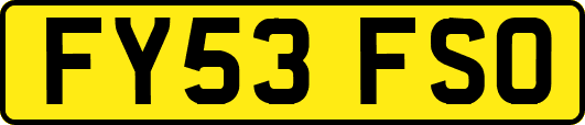 FY53FSO