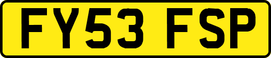 FY53FSP