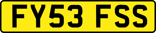 FY53FSS