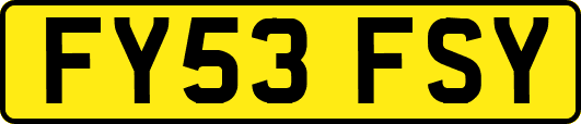 FY53FSY
