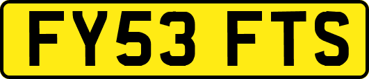 FY53FTS