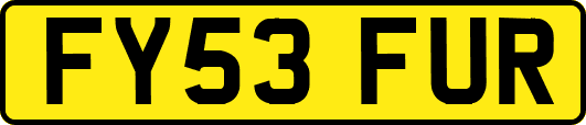 FY53FUR