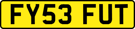 FY53FUT