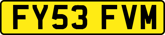 FY53FVM