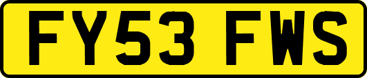 FY53FWS
