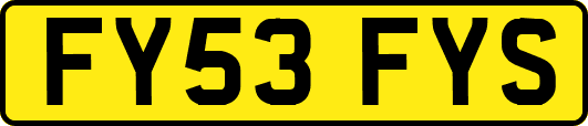 FY53FYS