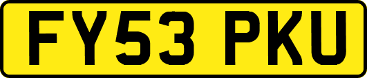 FY53PKU