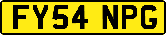 FY54NPG