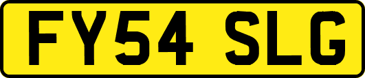 FY54SLG