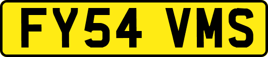 FY54VMS