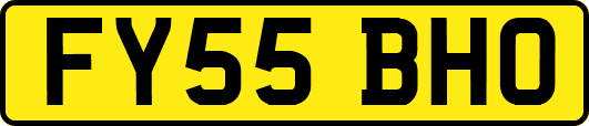 FY55BHO