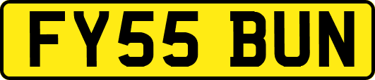 FY55BUN