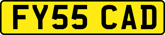 FY55CAD