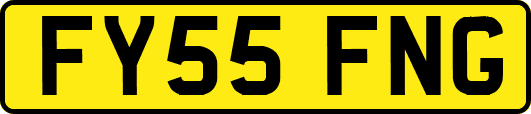 FY55FNG