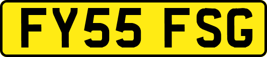 FY55FSG