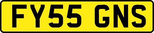 FY55GNS