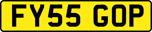 FY55GOP