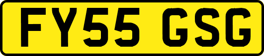 FY55GSG