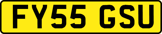 FY55GSU