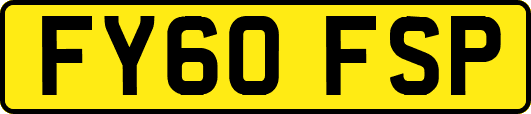 FY60FSP