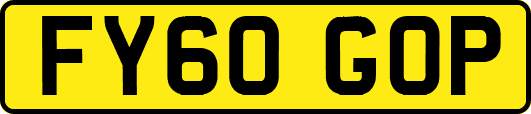 FY60GOP