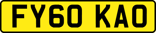 FY60KAO