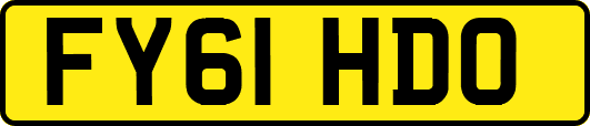 FY61HDO