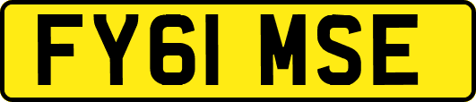 FY61MSE