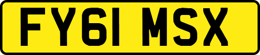 FY61MSX